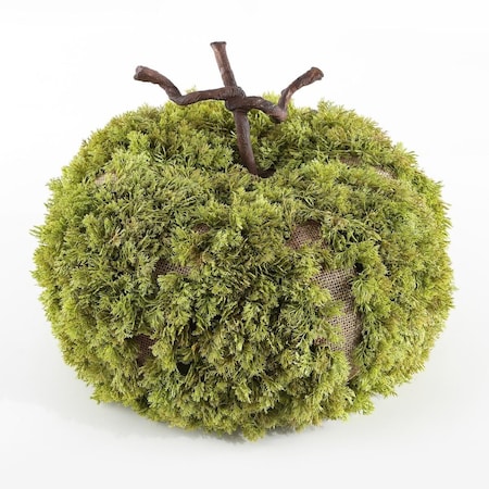 Safavieh 15 in. Faux Decorative Artificial Moss Pumpkin, Green FXP1068A